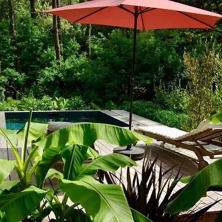 D'exception Avec Piscine A La Pointe Willa *